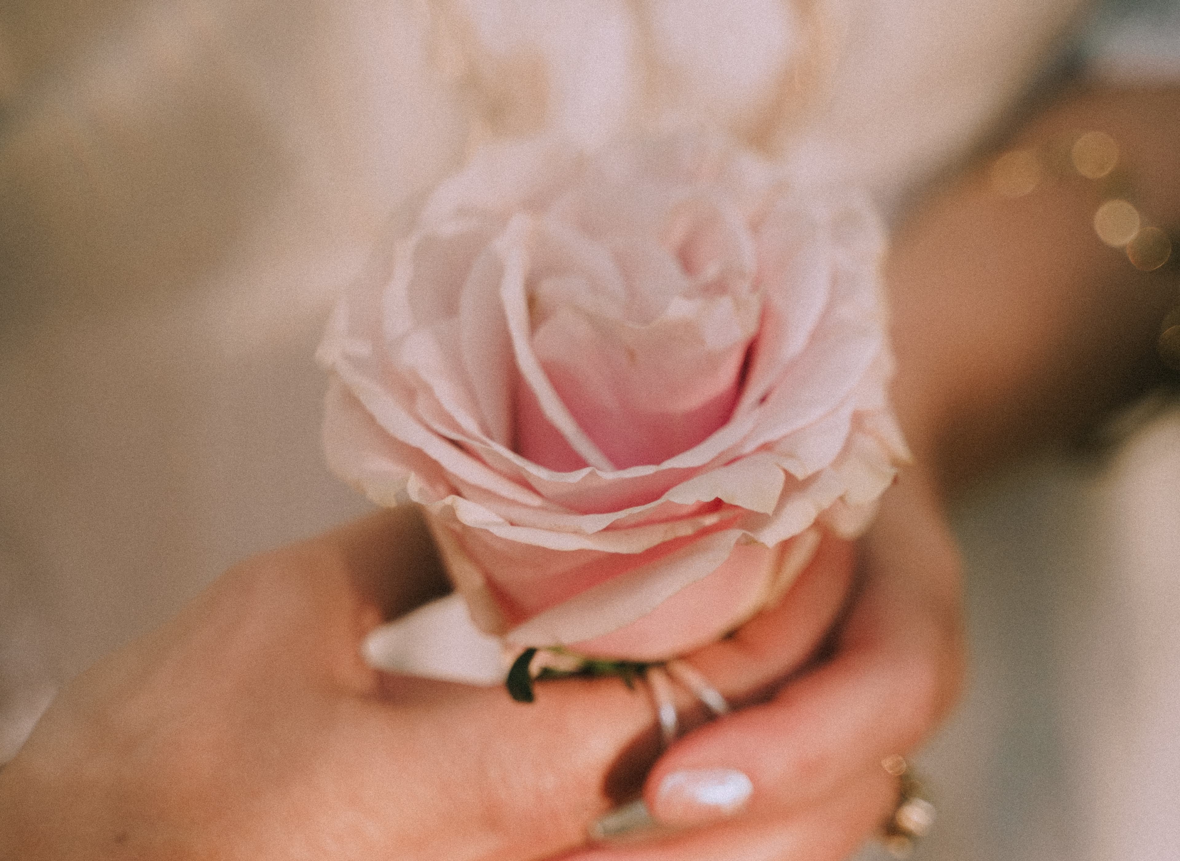 Madame Priestess - Rose sacrée